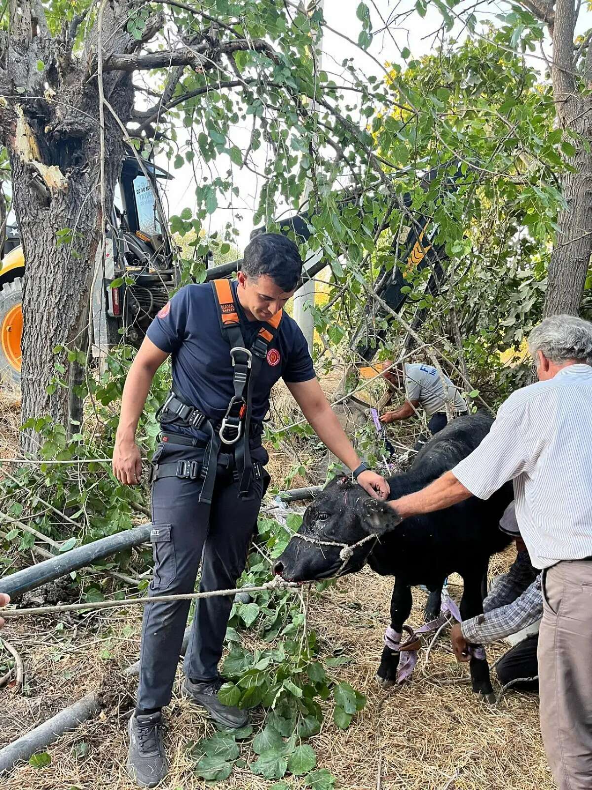 Muğla'da 11 Metrelik Kuyudan Can Dostuna Uzanan Kurtarma Eli 3